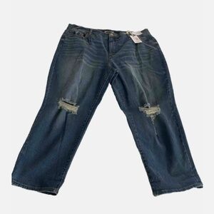 JESSICA SIMPSON MIKA BESTIE JEANS ~ DISTRESSED 20 W NEW WITH TAGS